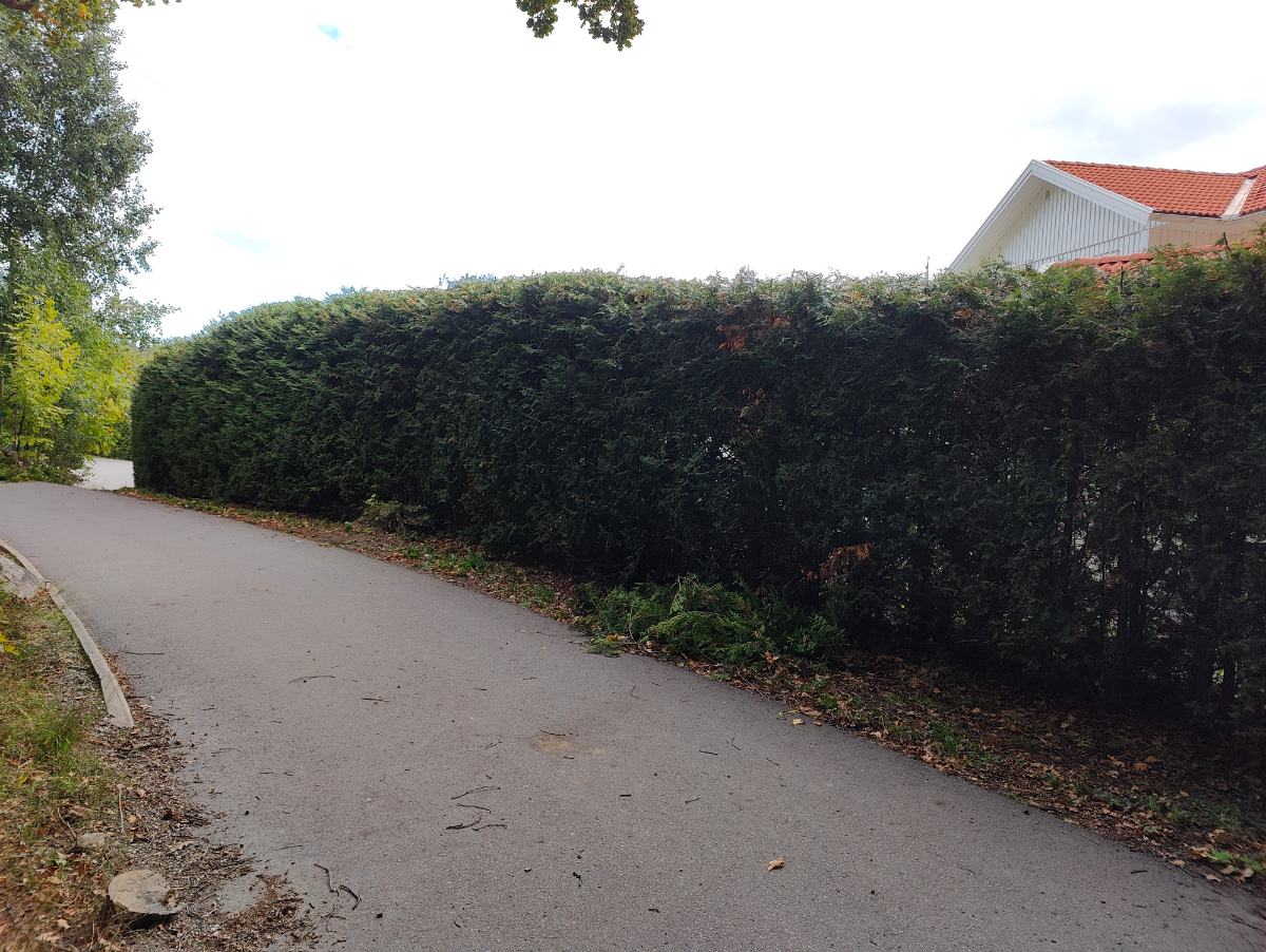Häck efter klippning med uppsamlat avfall vid basen, privat kund i Åkersberga