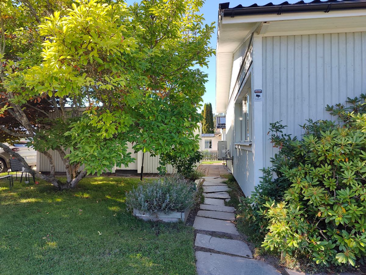 Gång längs huset efter beskärning, privat kund i Barkarby