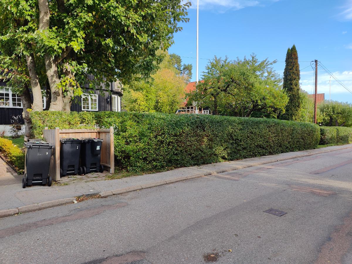 Häck efter försiktig klippning, privat kund i Bromma
