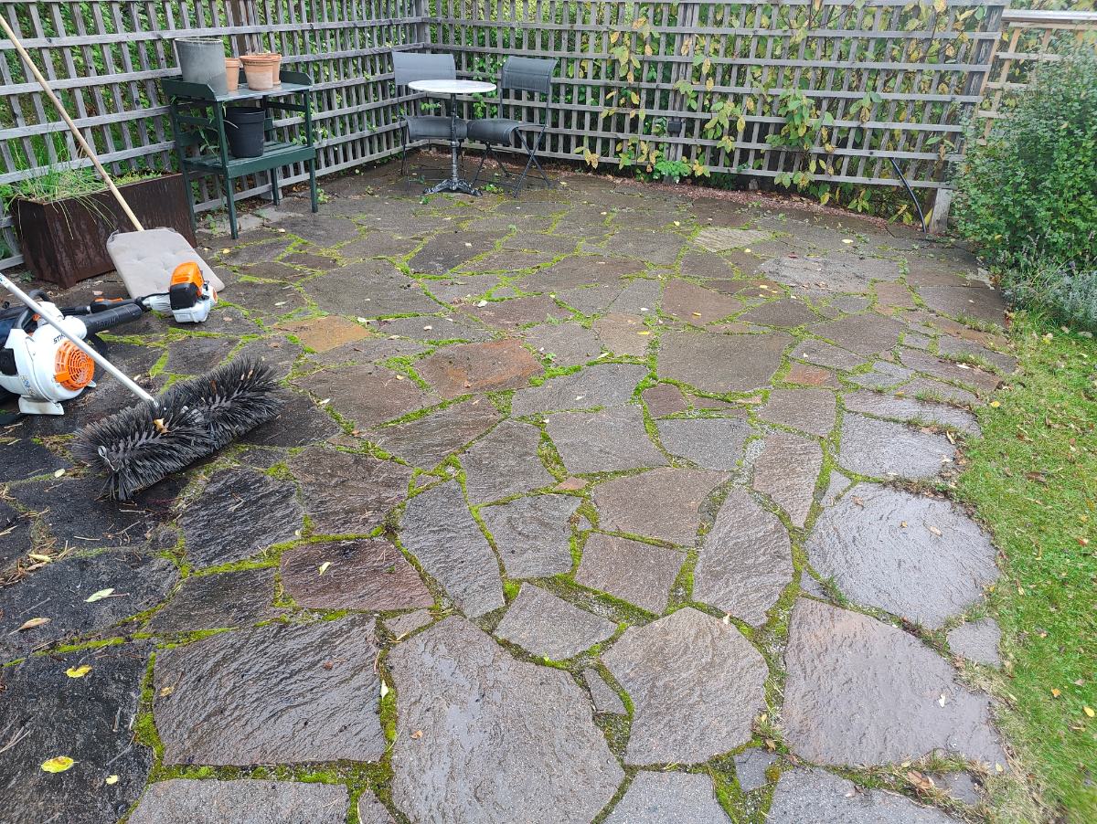 Stenplattor med ogräs före rensning, privat kund i Bromma